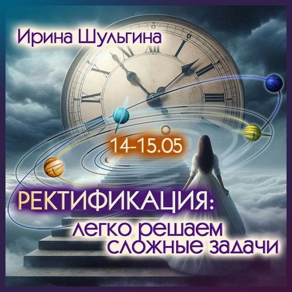 Ректификация. Легко решаем сложные задачи [Ирина Шульгина]