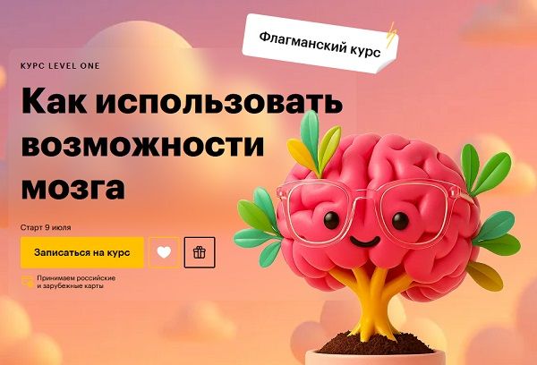 Как использовать возможности мозга [Level One] [Татьяна Смирнова]