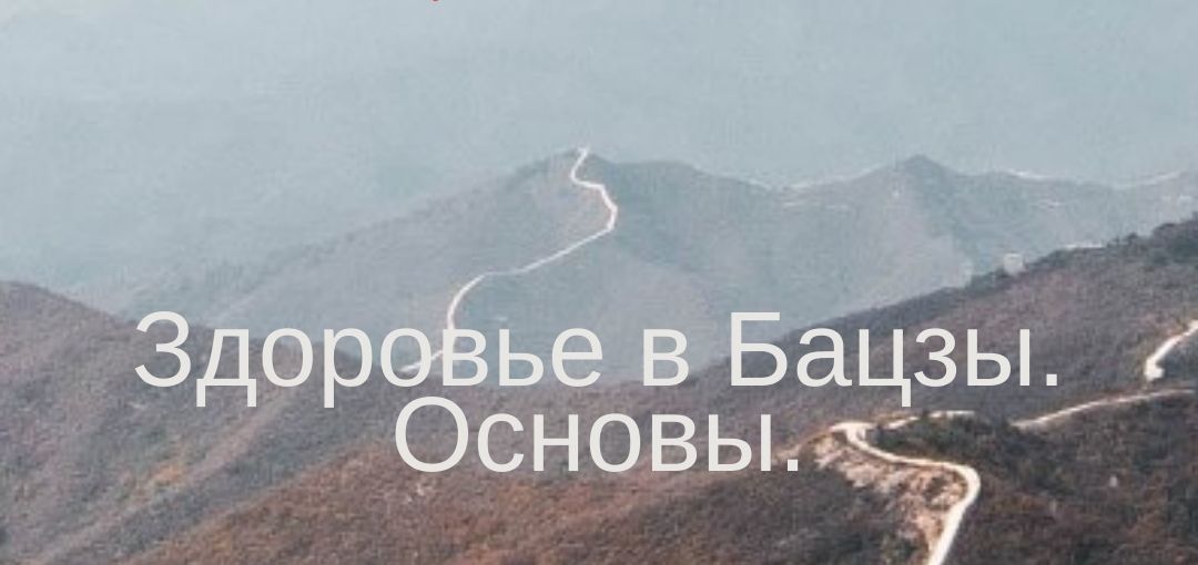 Здоровье в Бацзы. Основы. [Юлия Бальсина]