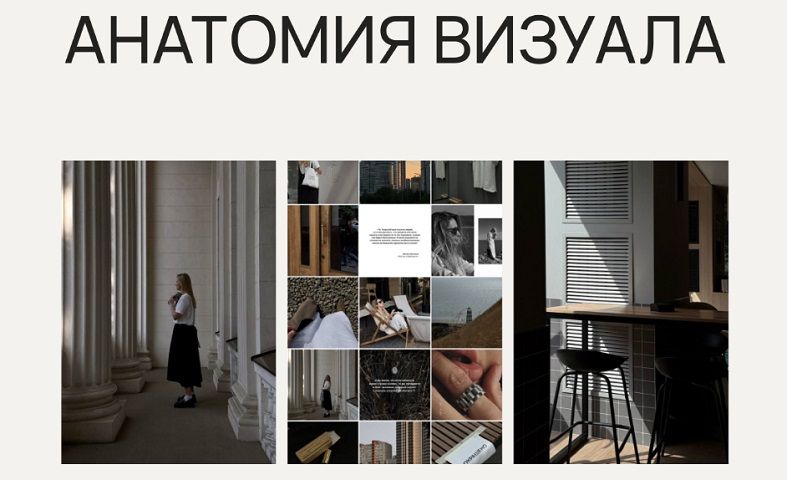 Анатомия визуала 5.0 [Тариф Я сама] [Елена Палажчук]
