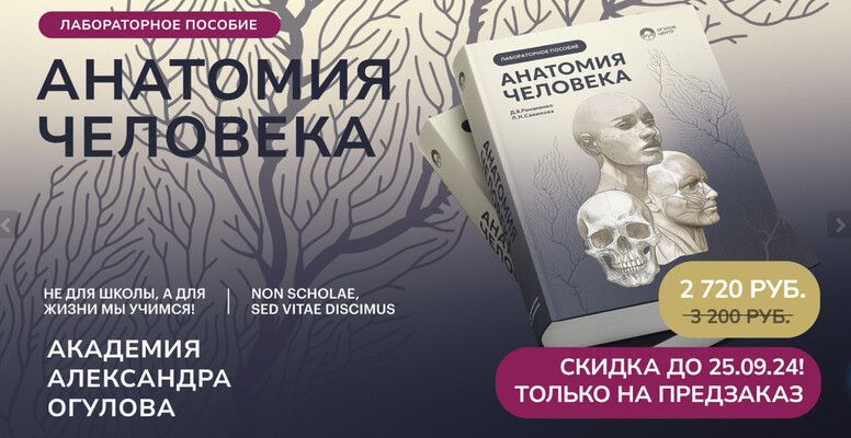Анатомия человека. Лабораторное пособие [Денис Романенко, Людмила Савинова]