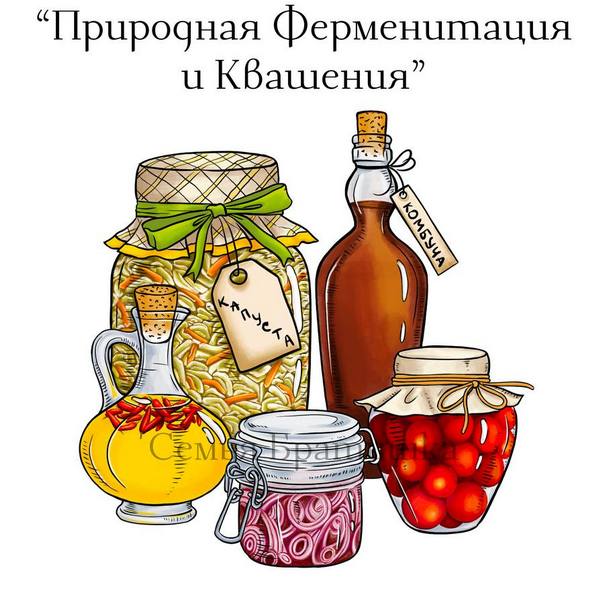 Природная ферментация и квашения [Юля Братишка, Женя Братишка]
