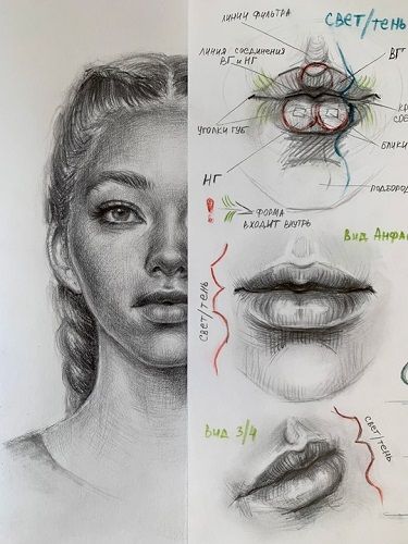 Портрет анфас [Тариф Без проверки] [Marilina Art] [Марина Тарасова]