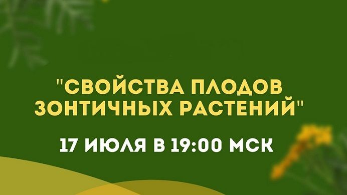 Свойства плодов зонтичных растений [Ольга Данилюк]