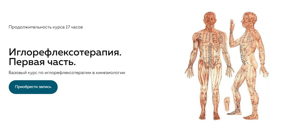 Рефлексотерапия. Часть l [Школа доктора Крутова] [Григорий Крутов]