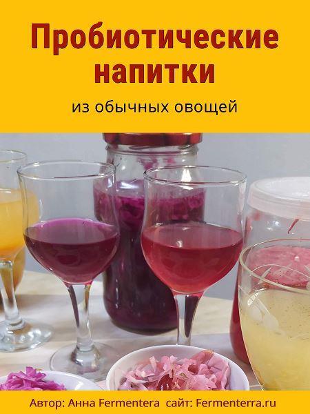 Пробиотические напитки [Анна Fermenterra]