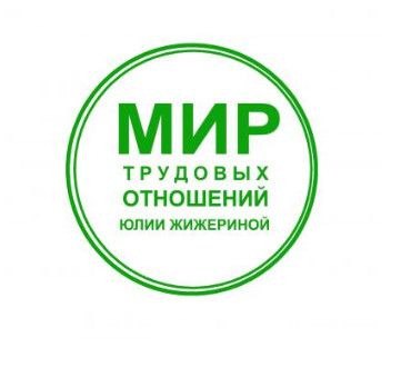 Профстандарты: практика применения [Юлия Жижерина]