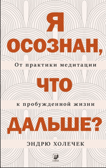 Я осознан, что дальше? От практики медитации к пробужденной жизни [Эндрю Холечек]