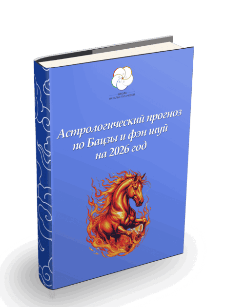Прогноз-руководство на 2026 [Школа Китайской Метафизики] [Наталья Пугачёва]