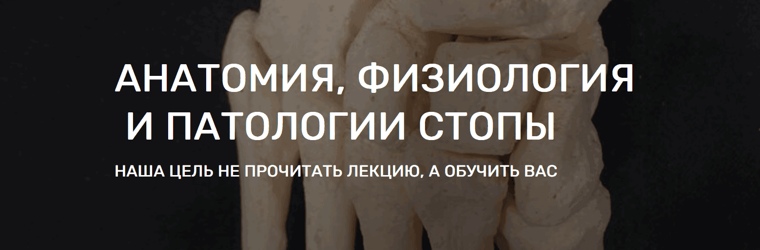 Анатомия, физиология и патологии стопы [Пакет Автономный] [Кирилл Шлыков]
