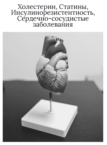 Холестерин, статины, инсулинорезистентность, сердечно-сосудистые заболевания [Ольга Видманова]