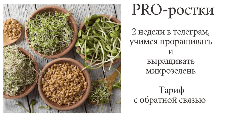 PRO-ростки [katrin_ecotrue] [Екатерина Кудерцева]
