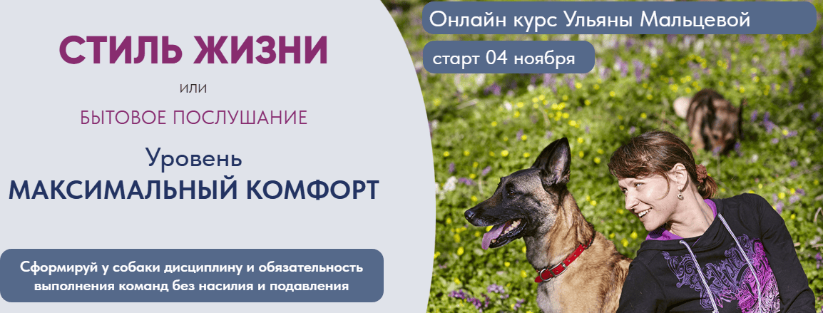 Стиль жизни или бытовое послушание уровень максимальный комфорт [Тариф Все сам] [Ульяна Мальцева]