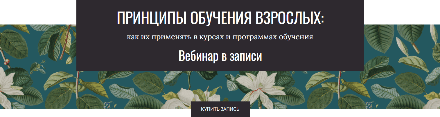 Принципы обучения взрослых [Тариф Сам за себя] [Елена Тихомирова]