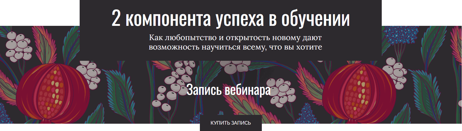 2 компонента успеха в обучении [Тариф Сам за себя] [Елена Тихомирова]