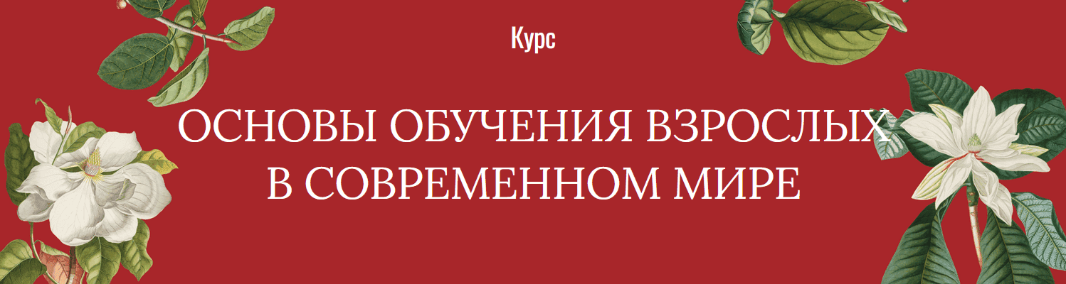 Основы обучения взрослых в современном мире [Тариф Сам за себя] [Елена Тихомирова]