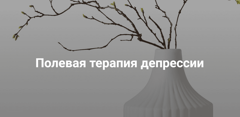 Полевая терапия депрессии [Институт Открытого поля] [Елена Веселаго]