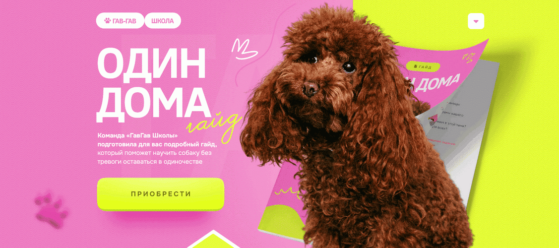 Один Дома [Гав-гав школа] [Татьяна Рожина]
