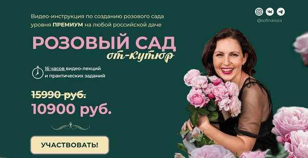 Розовый сад от кутюр [Софья Шамрай]
