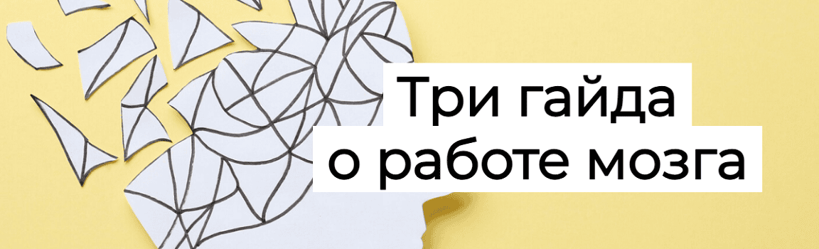 Три гайда о работе мозга [Humberto.2.0] [Елена Иванова]