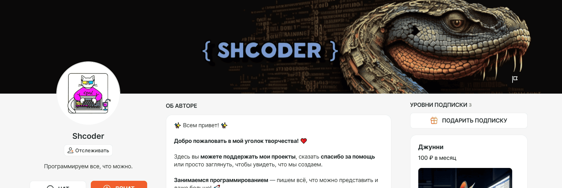 PYTHON без теории — только живые 39 проектов, бери и запускай. [Shcoder] [boosty]
