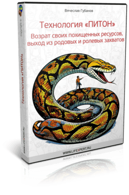 Технология «Питон». Возврат своих похищенных ресурсов, выход из родовых и ролевых захватов [Вячеслав Губанов]