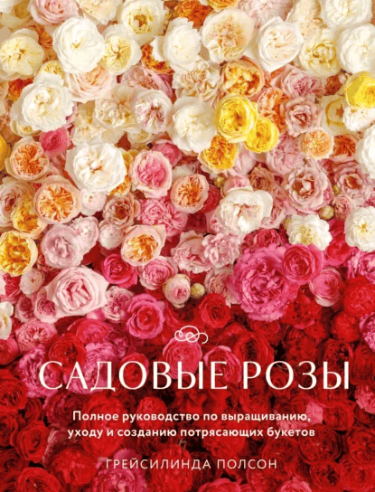 Решаю быстро и правильно + Развитие математических способностей и на1000 способов не думать о еде [Александр Логвинов] + Food Building [Аурис Вэнтэль]
