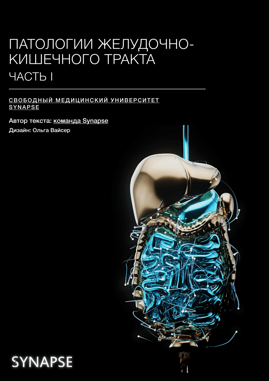 Учебник по патологии желудочно-кишечного тракта, часть I [Synapse][Клуб] ИИ Академия S2: Глубже, практичнее, вместе + AI Бот