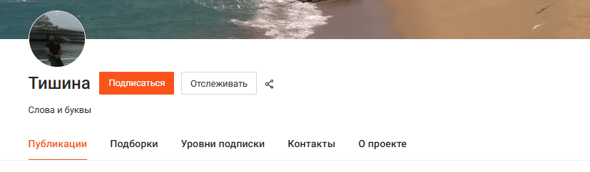 Тишина (октябрь 2025) [Тариф Подписчик] [Карманова Р.В.]