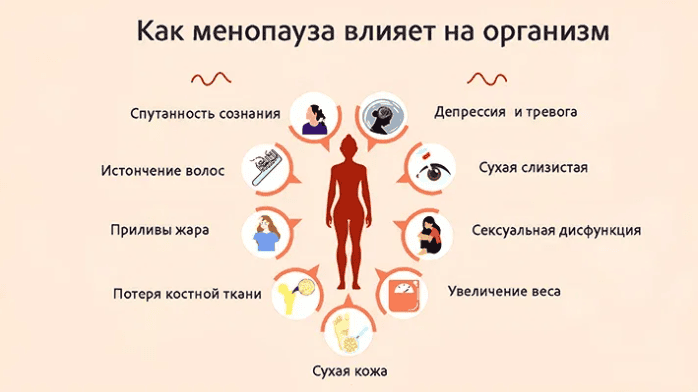 Когда “правильное питание” делает хуже: ошибки классического подхода к менопаузе [Humberto.2.0] [Валерий Подрубаев]
