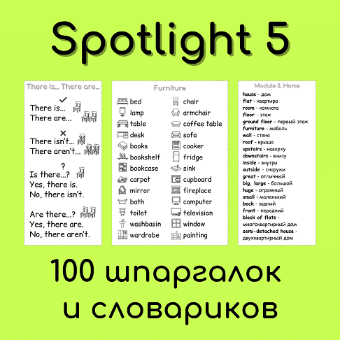 Spotlight 5 - 100 шпаргалок и словариков [Елена Шошова]