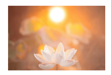 Душа с Душою говорила. Молитва Мастера (9-й месяц)