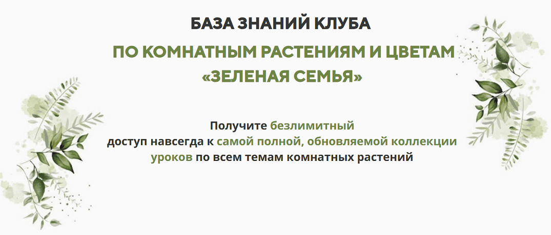 База знаний клуба по комнатным растениям и цветам «Зеленая семья» [0,5 года доступа] [Катя Spottykit]