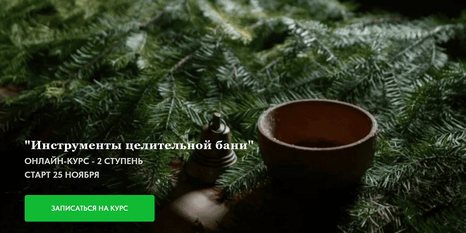 Инструменты целительной бани. 2 ступень [Тариф 2] [Татьяна Козлова]