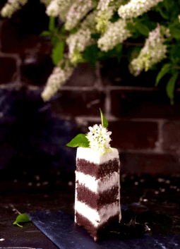 Черемуховый торт [Xleb.tartin]