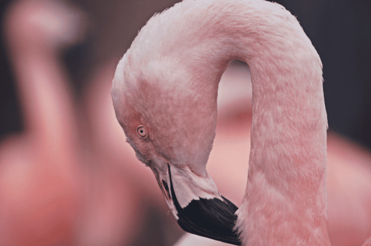 Our Vocab [Екатерина Зубкова]