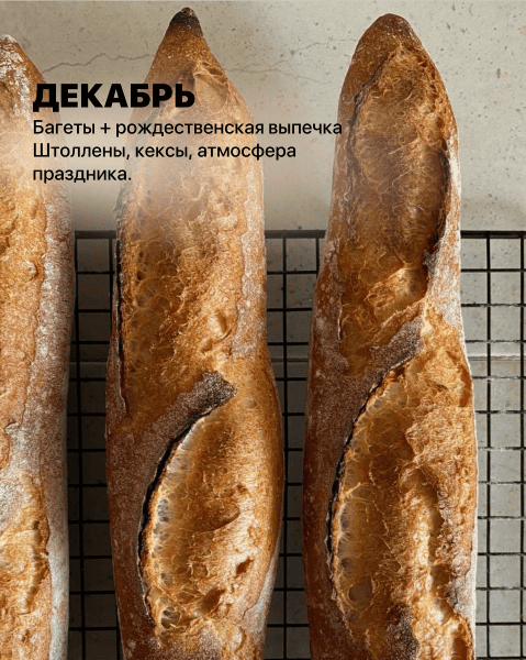 Клуб Булки Камиллы (декабрь 2025) [Камилла Абдуллина]