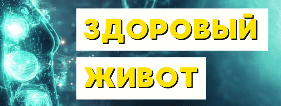 Здоровый живот [Анна Вервенко]
