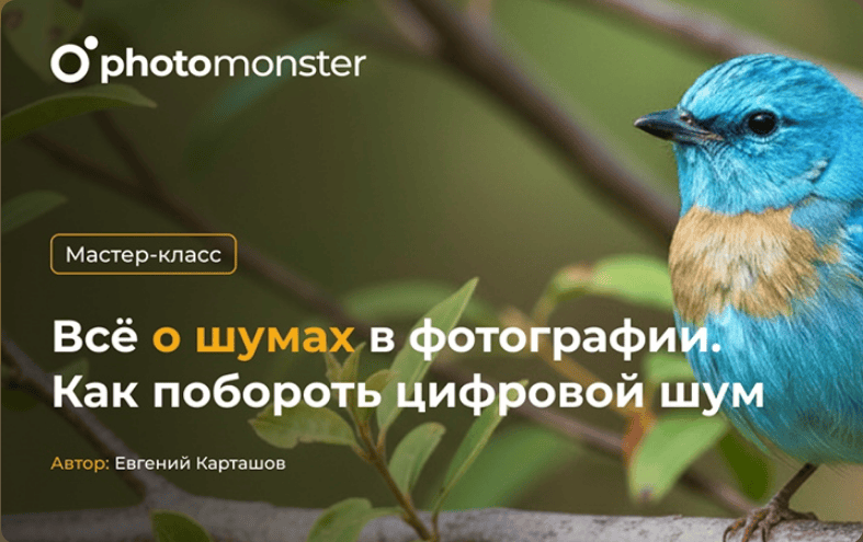 Всё о шумах в фотографии. Как побороть цифровой шум [Евгений Карташов]