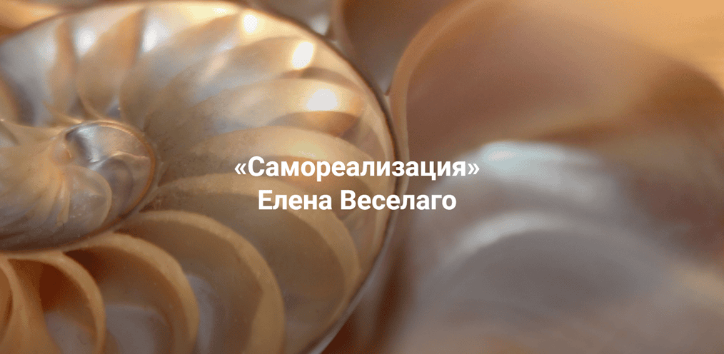 Самореализация [Институт Открытого поля] [Елена Веселаго]
