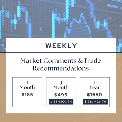 Комментарии к рынку и торговые рекомендации MMA. Подписка на аналитические материалы (на месяц) [Merriman Market Analyst]