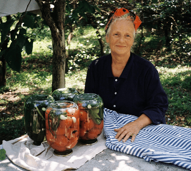 Соленья, варенья и компот + уроки по ферментации [Ремесленный интеллект] [Лариса Зуева, Илья Литвяк]