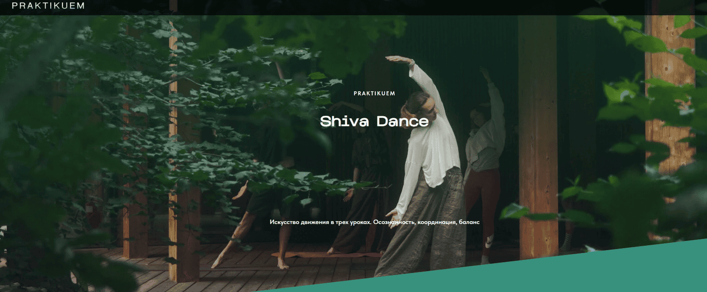 Танец Шивы [aleks_praktikuem] [Александра Каткова]