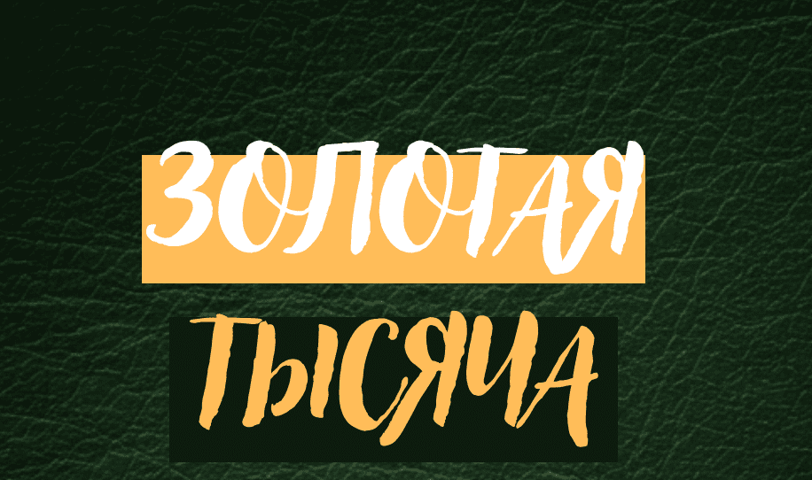 [Василина Баранова] [vasilinfo] Золотая тысяча. Том 8 (2025)