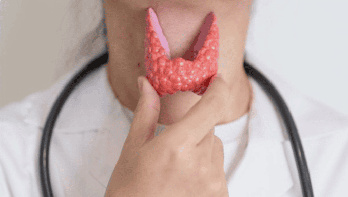 [О. Ковган] Щитовидная железа. Новое в терапии. Определяем и устраняем проблемы с щитовидкой (2025)