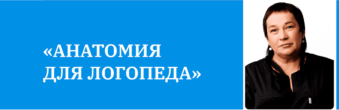 Анатомия для логопеда [Галина Маюрова]