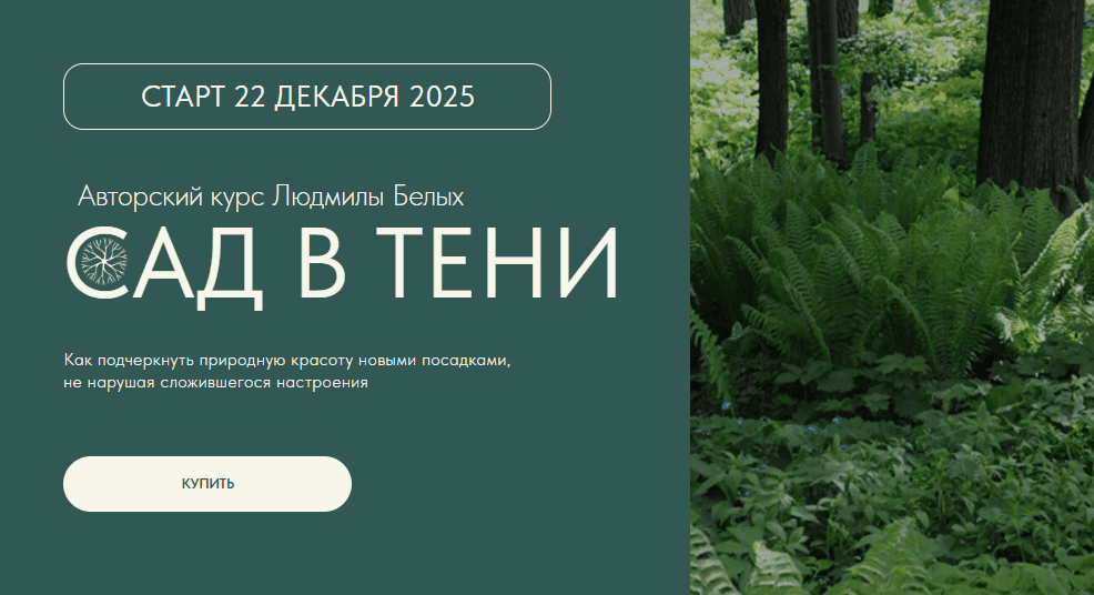 Сад в тени [Тариф Наблюдатель] [Людмила Белых] [Повтор]