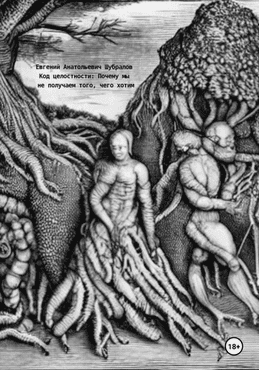 Код целостности. Почему мы не получаем того, чего хотим [Евгений Шубралов]