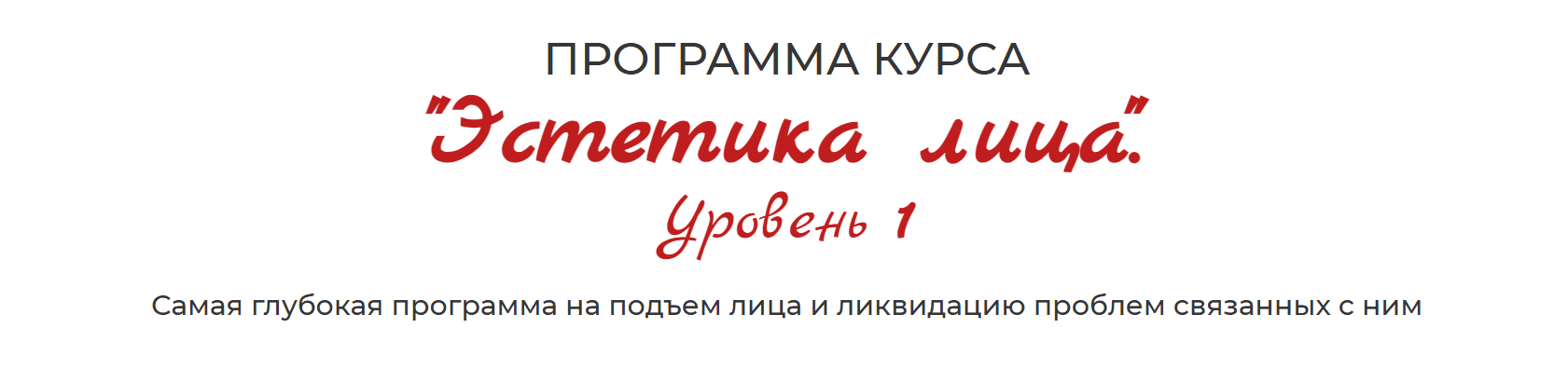 Эстетика лица, шеи, зоны декольте. Уровень 1 [Повтор] [Екатерина Федорова]