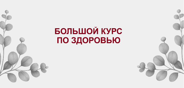 Большой курс по здоровью [Дамира Баймирзаева]